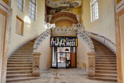 DSC 8204 5 6 Fusion-Natural