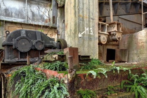 DSC 8238 39 40 Fusion-Natural111