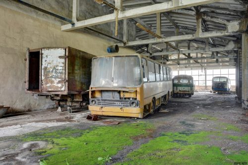 DSC 8845 6 7 Fusion-Natural