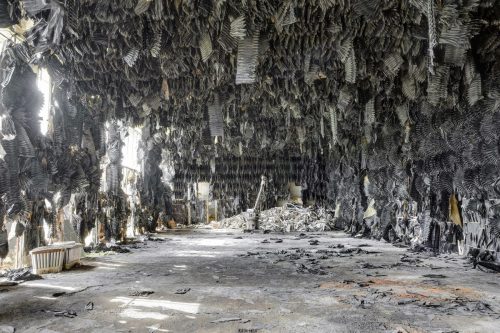 DSC 9151 2 3 Fusion-Natural111